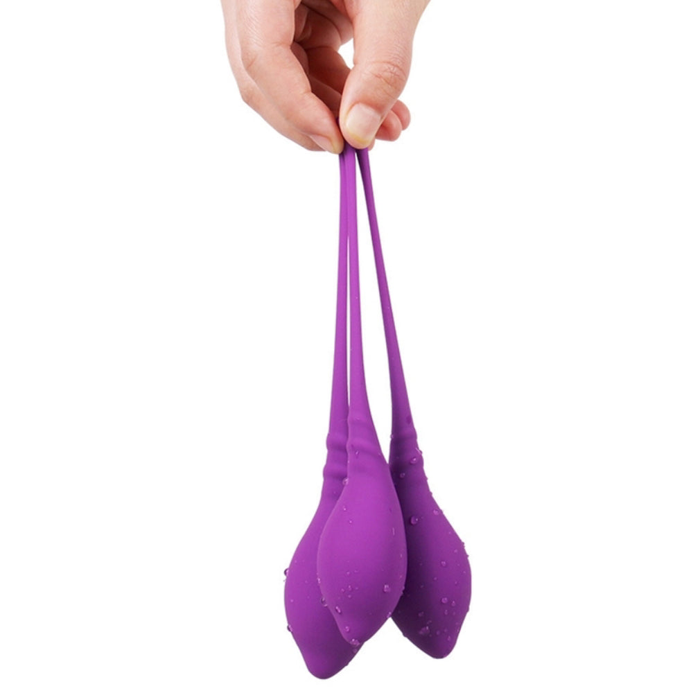 Kegel Vaginal Exerciser Kit