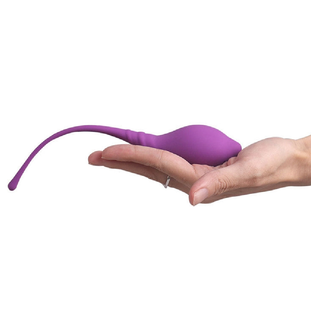 Kegel Vaginal Exerciser Kit